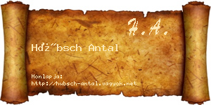 Hübsch Antal névjegykártya